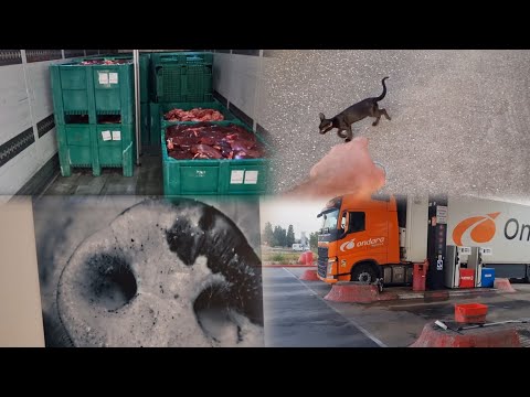 Видео: ЧЕТЫРЕ МЕСТА)ВСЁ ЗДОРОВО)ПОДРУЖИЛСЯ С ШЕФОМ! часть 3.