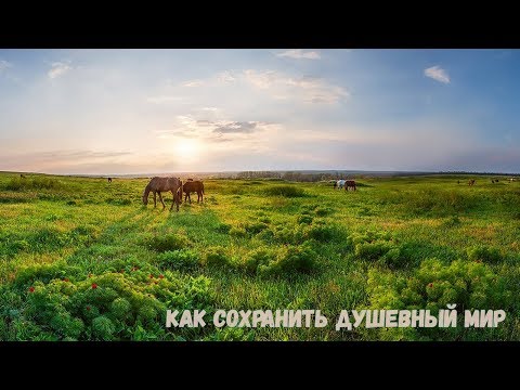 Видео: Как сохранить душевный мир. Архимандрит Амвросий (Юрасов)