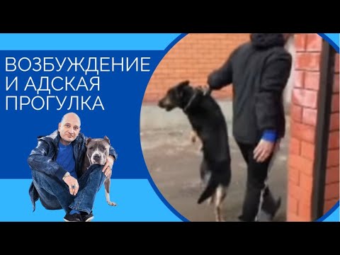 Видео: Скайп-консультация(Возбуждение и адская прогулка)