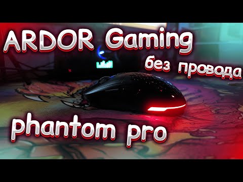 Видео: ARDOR GAMING PHANTOM PRO | БЕСПРОВОДНАЯ ИГРОВАЯ МЫШКА НА 26000 DPI.