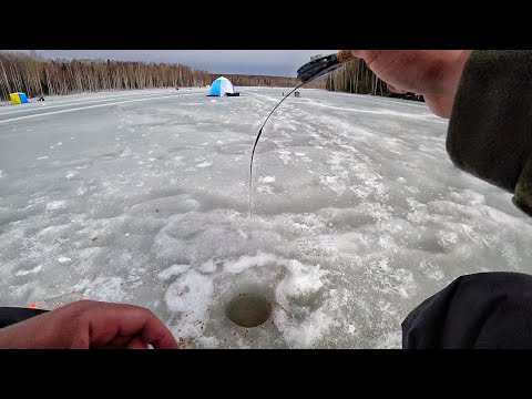 Видео: БЕЗМОТЫЛКА: ЧЁРТИК, ГВОЗДИК, ПОДЛЕЩИК