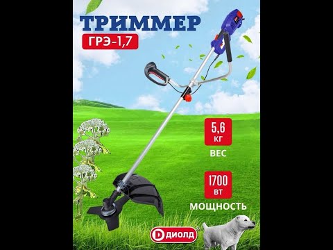 Видео: Триммер ДИОЛД ГРЭ-1,7-02 против борщевика.