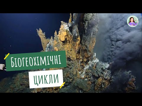 Видео: Біогеохімічні цикли