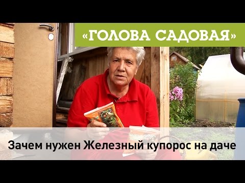 Видео: Голова садовая - Зачем нужен Железный Купорос на даче