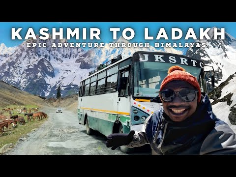 Видео: Пересечение самой опасной и живописной горной дороги в мире — из Кашмира в Ладакх на автобусе 🇮🇳