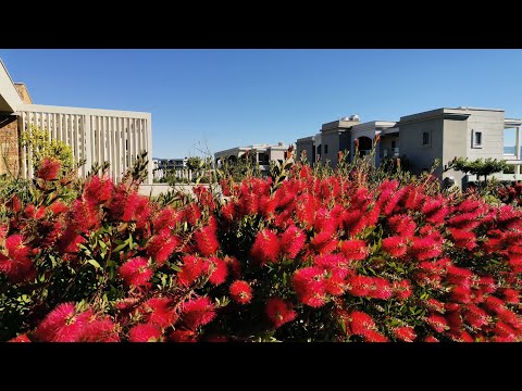 Видео: Blue Lagoon Palace новото Бижу на Халкидики / Travel By Aventura