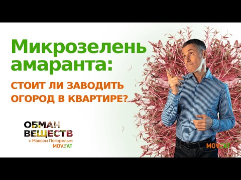Видео: Микрозелень амаранта - стоит ли заводить огород в квартире?