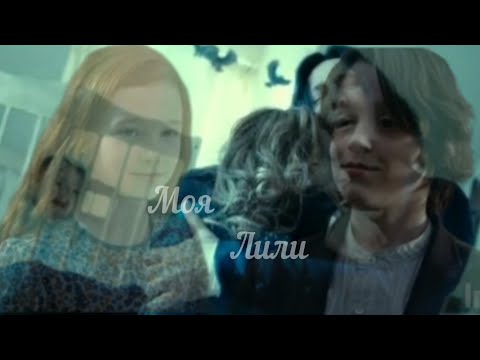 Видео: Young Lari - Моя Лили #hp #severussnape #лили