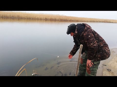 Видео: ЛОВИМ ЩУКУ НА ДЕДОВСКУЮ РЕЗИНКУ И УДОЧКИ НА ЖИВЦА, ЩУКА КЛЮЁТ ЖАДНО, РЫБАЛКА НА ТОБОЛЕ В КАЗАХСТАНЕ!