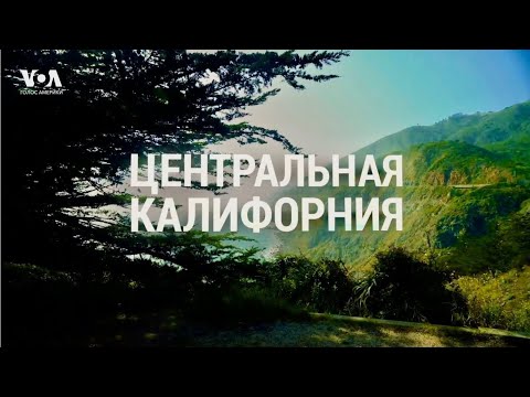 Видео: Центральная КАЛИФОРНИЯ: от виноделов до морских слонов