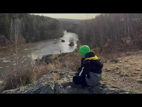 Видео: Прогулка через #лес в #горы с детьми 