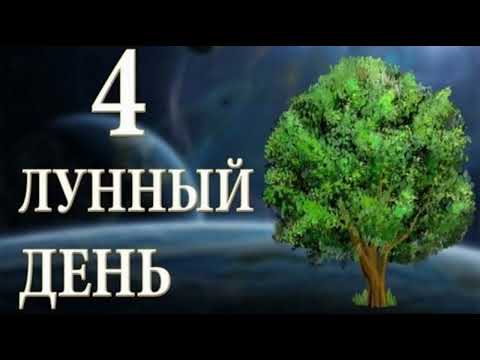 Видео: Что нужно делать 6-го сентября?