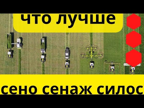 Видео: Сено Сенаж или Силос что лучше?