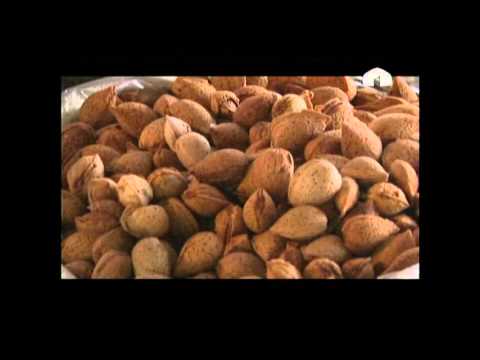 Видео: Чарбакер: Кыргызстанда жылан жийде жана бадам өстүрүү иш-чаралары башталды