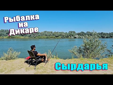 Видео: Рыбалка на Дикаре. Только Мы и Природа