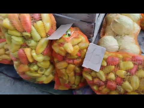 Видео: Бендерский оптовый рынок.Обзор цен на 2 октября 2025 г. 