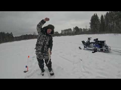 Видео: Скоро зимний сезон! С мотобуксировщиками "Альбатрос" вы без рыбы не останетесь! )))