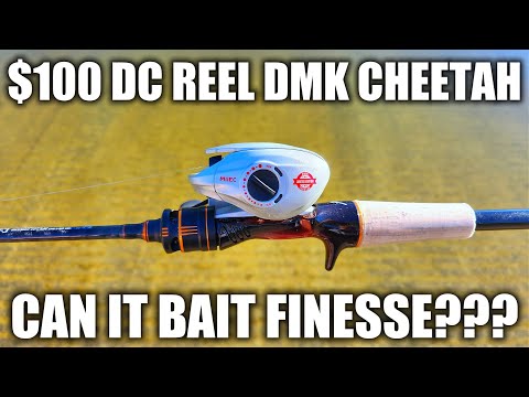 Видео: Катушка DC за 100 долларов... НО МОЖЕТ ЛИ ОНА БЫТЬ ТОЧНОЙ??? DMK CHEETAH
