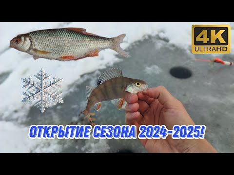 Видео: Открыл сезон ЗИМНЕЙ РЫБАЛКИ 2024-2025. Истринское водохранилище