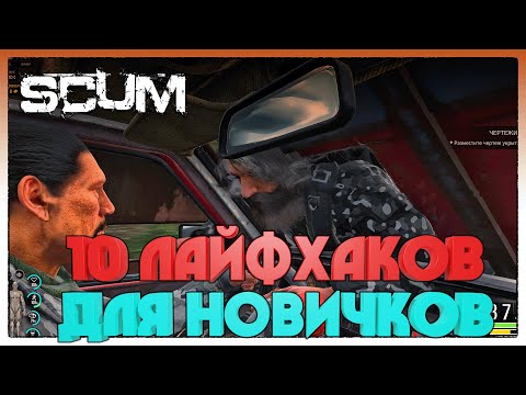 Видео: SCUM ► 10 ЛАЙФАКОВ ДЛЯ НОВИЧКОВ