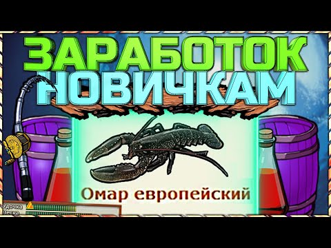 Видео: РР3 ТОП 10 СПОСОБОВ ЗАРАБОТКА БЕЗ МОЩНЫХ УДОЧЕК