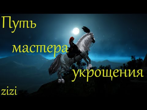 Видео: Путь Мастера Укрощения Black Desert