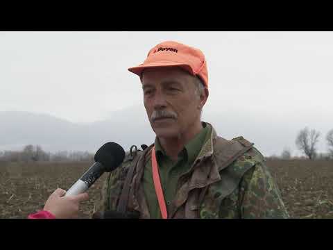 Видео: Излет на фазани в Тополница