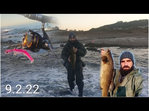 Видео: Морской Окунь после Бури  9.2.22