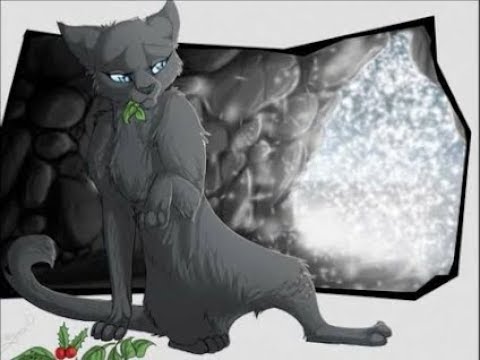 Видео: Коты Воители:Быть одиноким..