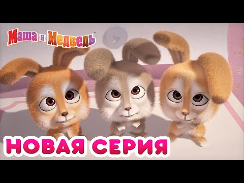 Видео: Маша  и Медведь - 💥 НОВАЯ СЕРИЯ! 🍼 Лучшая няня на свете 🐰 Коллекция мультиков для детей про Машу