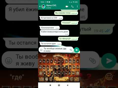 Видео: мне написал крош exe шок