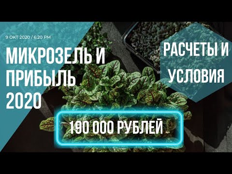 Видео: Бизнес микрозелень 2020 / как вырастить деньги?