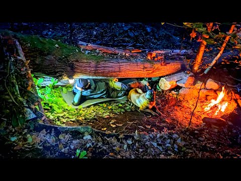 Видео: Зимний лагерь в примитивном убежище для выживания - Природный аварийный укрытие