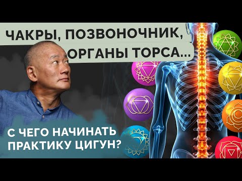 Видео: Чакры, позвоночник, органы торса. С чего начинать практику Цигун?