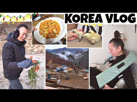 Видео: Новинки на моей корейской даче / Муж приехал / KOREA VLOG