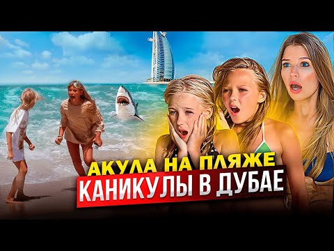 Видео: КАНИКУЛЫ в ДУБАЕ ! АКУЛА на ПЛЯЖЕ !