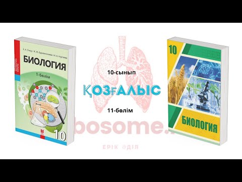 Видео: 10-сынып Қозғалыс | 11-бөлім | Ribosome.kz | Ерік Әділ 