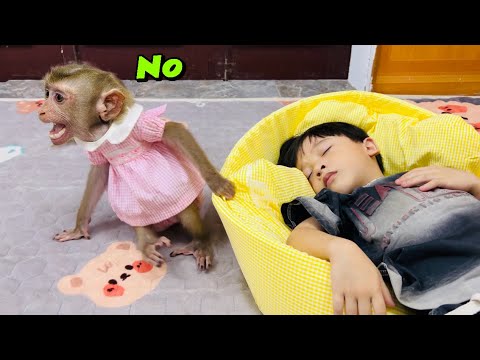 Видео: Обезьянка Диана хочет занять кровать, пока Рома спит.