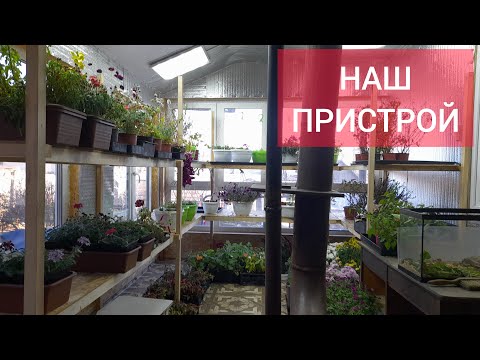 Видео: Рассадник для Сибири. Лучше не придумать.