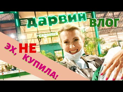 Видео: СТАРАЯ ДАЧА | НЕ купила! Леруа и Дарвин. ПУШКИНО. №40