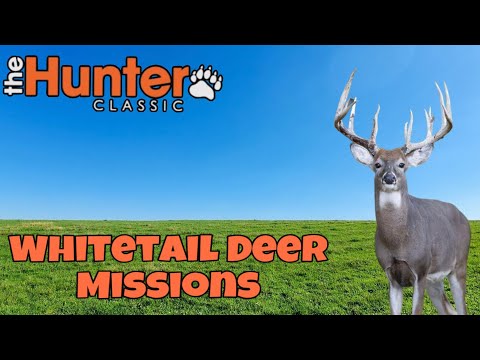 Видео: the hunter classic Whitetail Deer Missions! Белохвостый Олень! выполняем все 17 миссий!