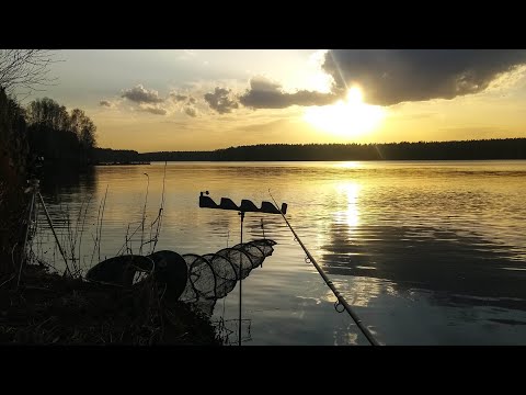 Видео: Открытие Фидерного сезона, ловля по холодной воде на Белоярском Водохранилище...