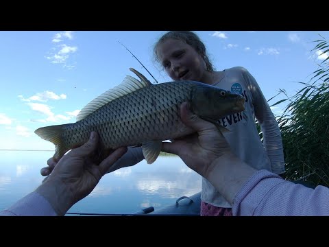 Видео: Отдых и рыбалка на берегу соленой части озера Балхаш!