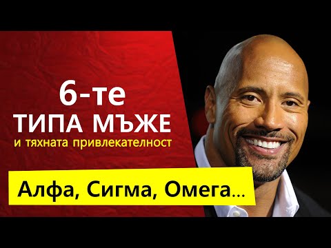 Видео: 6 ТИПА МЪЖЕ | Кой е най-привлекателен?
