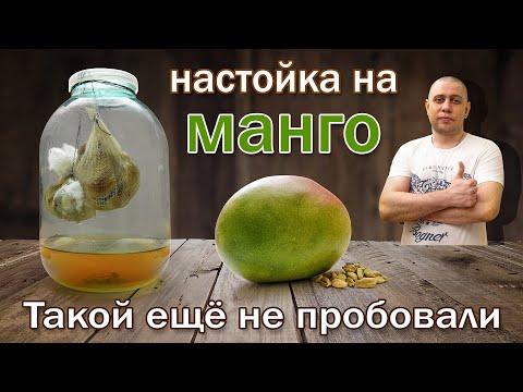 Видео: Настойка на манго и кардамоне методом "Висельник"