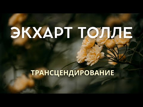 Видео: Трансцендирование - ЭКХАРТ ТОЛЛЕ [NikOsho]