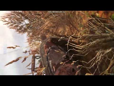 Видео: Мій перший досвід в Anomaly Gamma. Нарізка