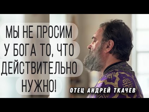 Видео: Вера, Надежда, Любовь, Премудрость. Отец Андрей Ткачёв