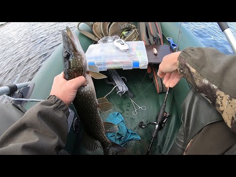 Видео: Рыбалка на спиннинг 04.09.2021. Шапсугское водохранилище. Щука доедает мою блесну...