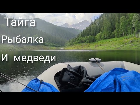 Видео: Два дня рыбалки на Саяно Шушенском водохранилище,и мишки на водных процедурах!!!